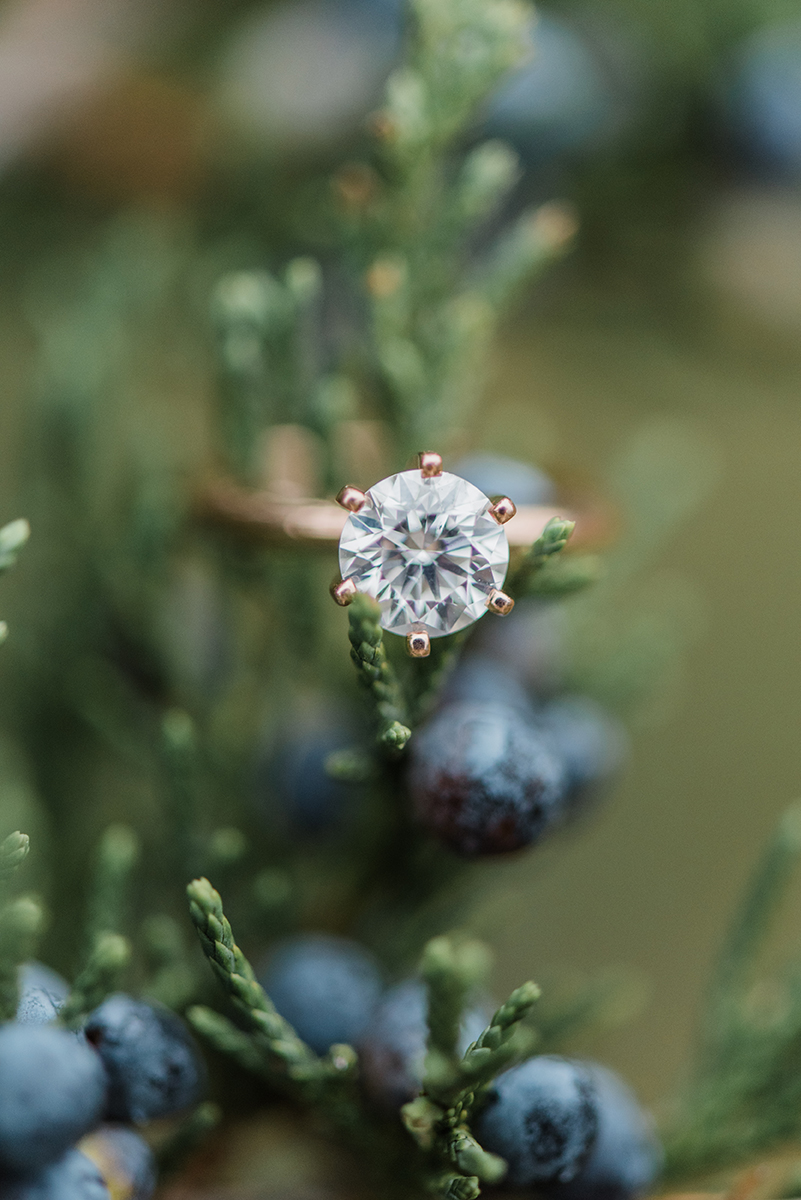 Milwaukee, WI Engagement Photographer