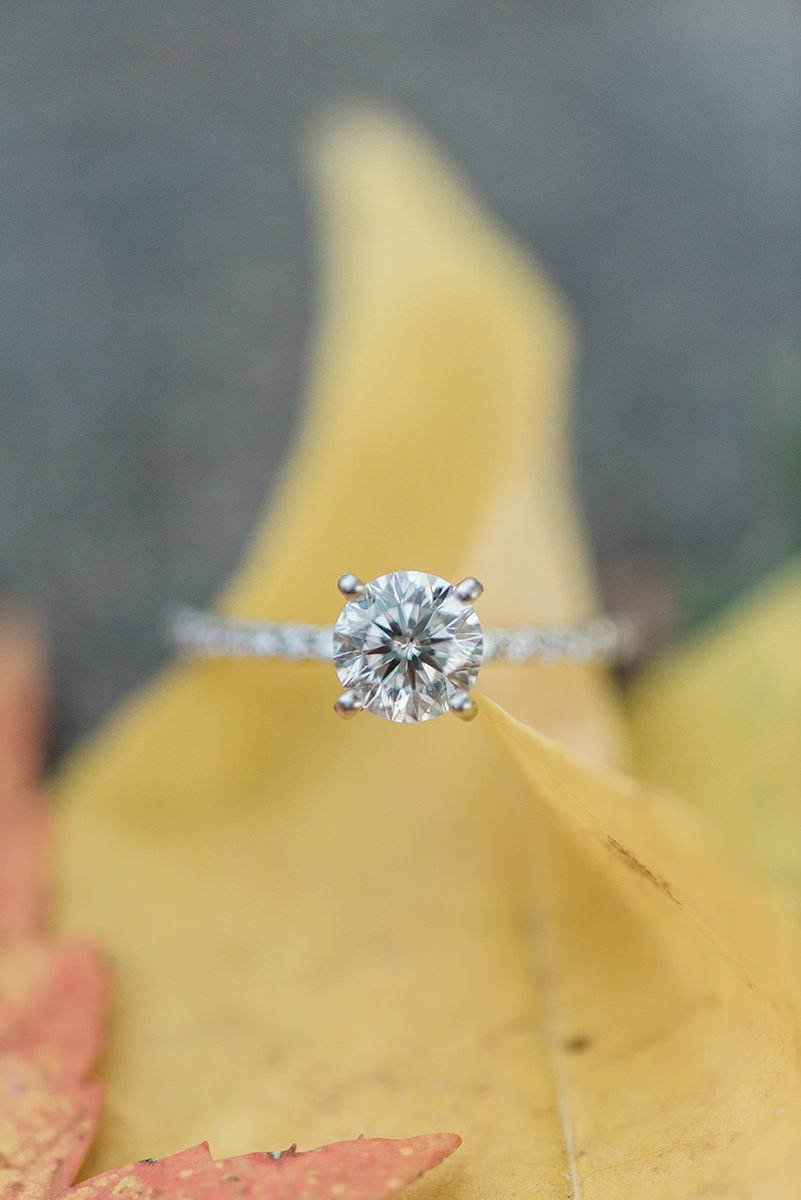 Beckman Mill - Beloit, WI Engagement Photographer