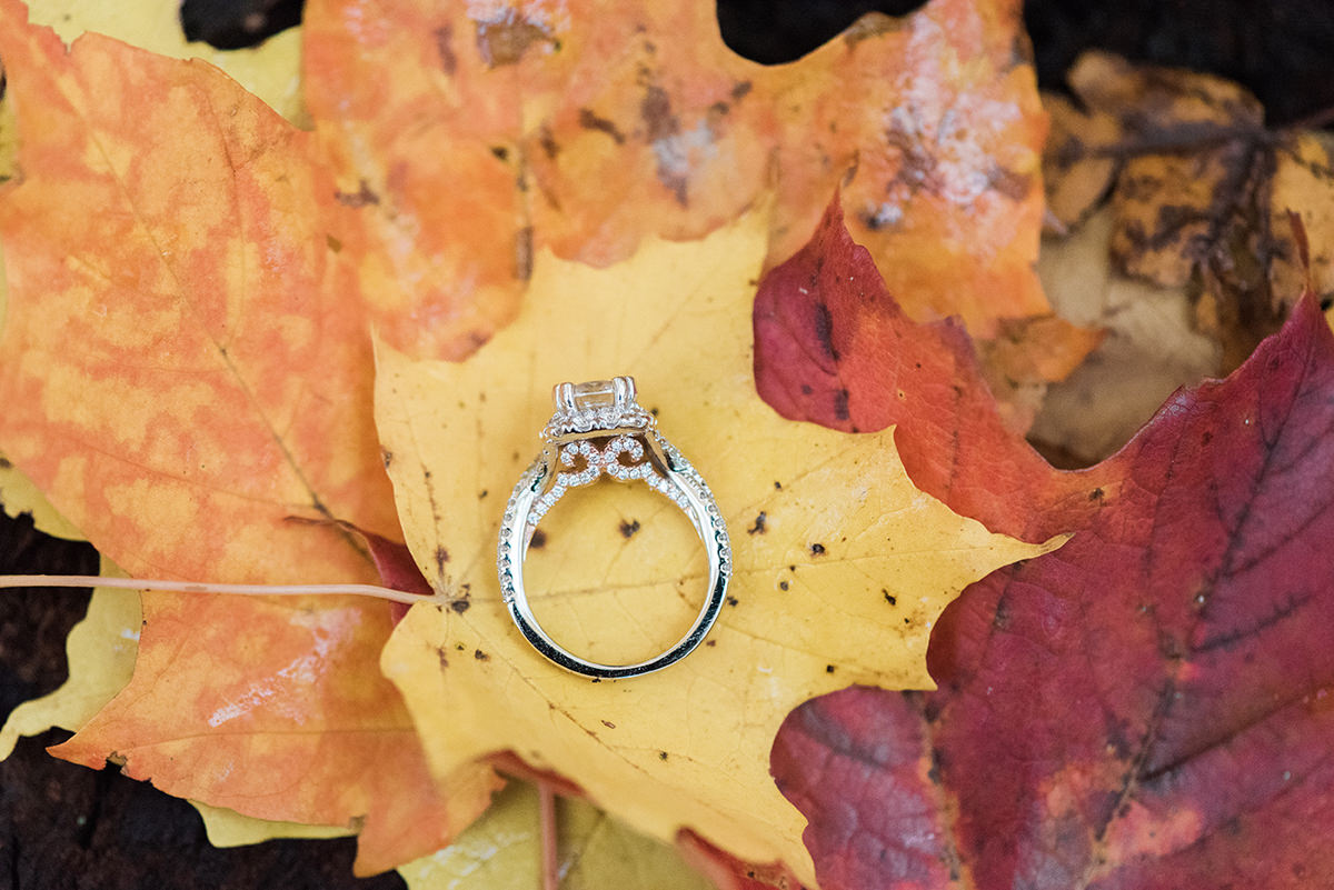 Green Bay, WI Engagement Photographer