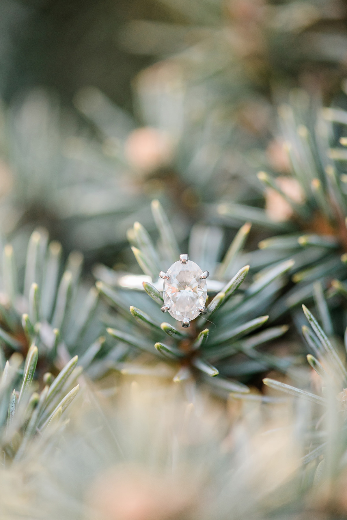 Madison, WI Engagement Photographers - Larissa Marie Photography