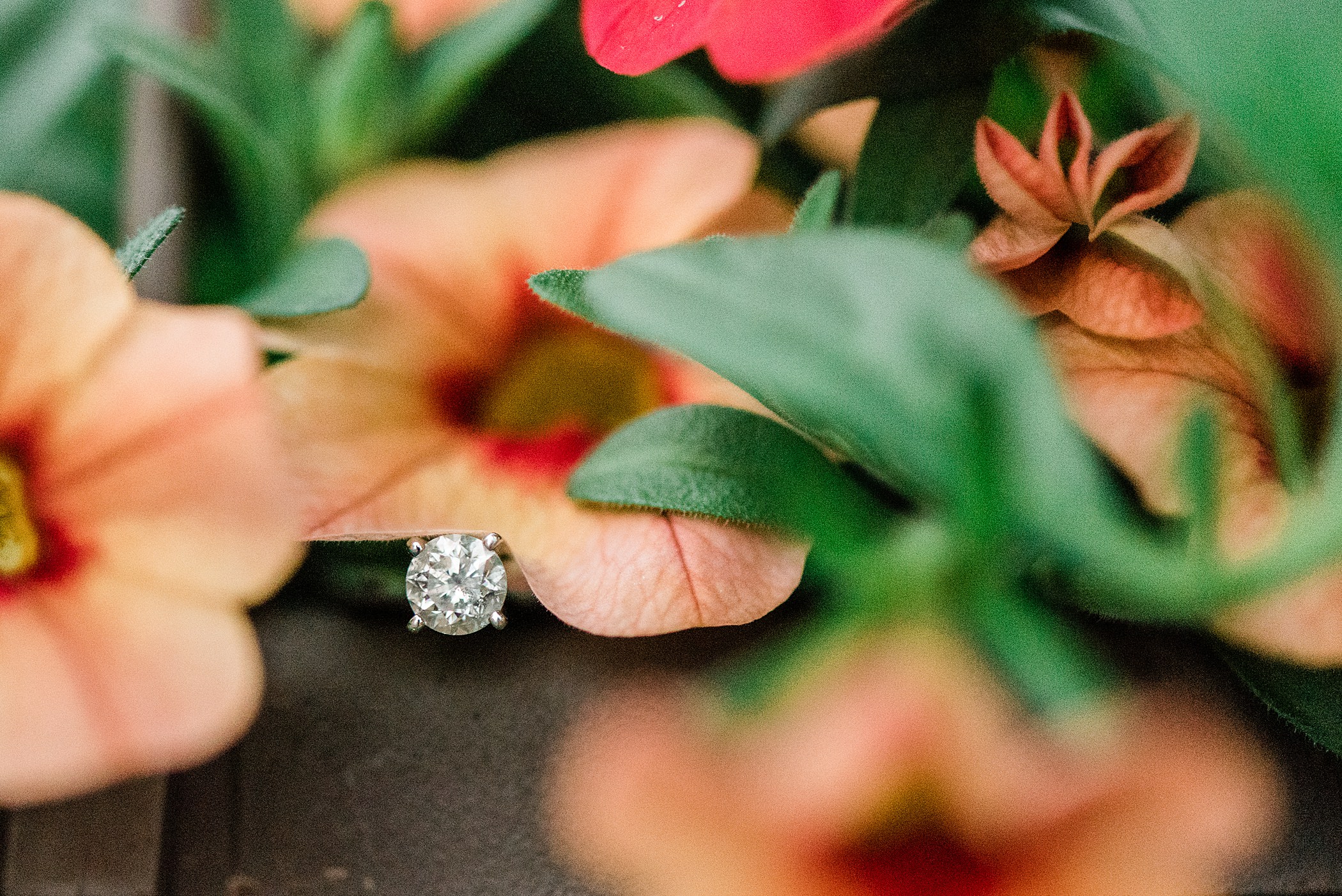 Mauston, WI Engagement Photographer - Larissa Marie Photography