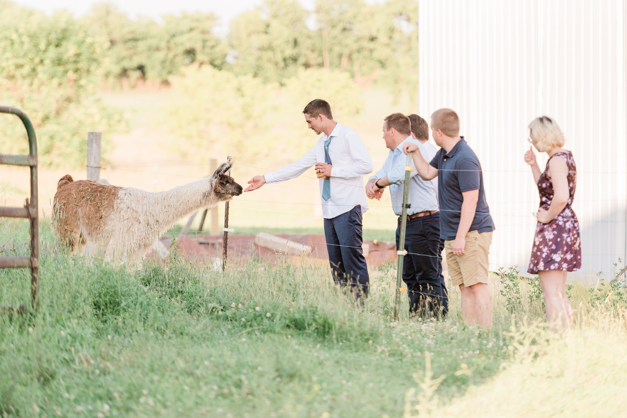 Pioneer Creek Farm Wedding Photographers - Larissa Marie Photography