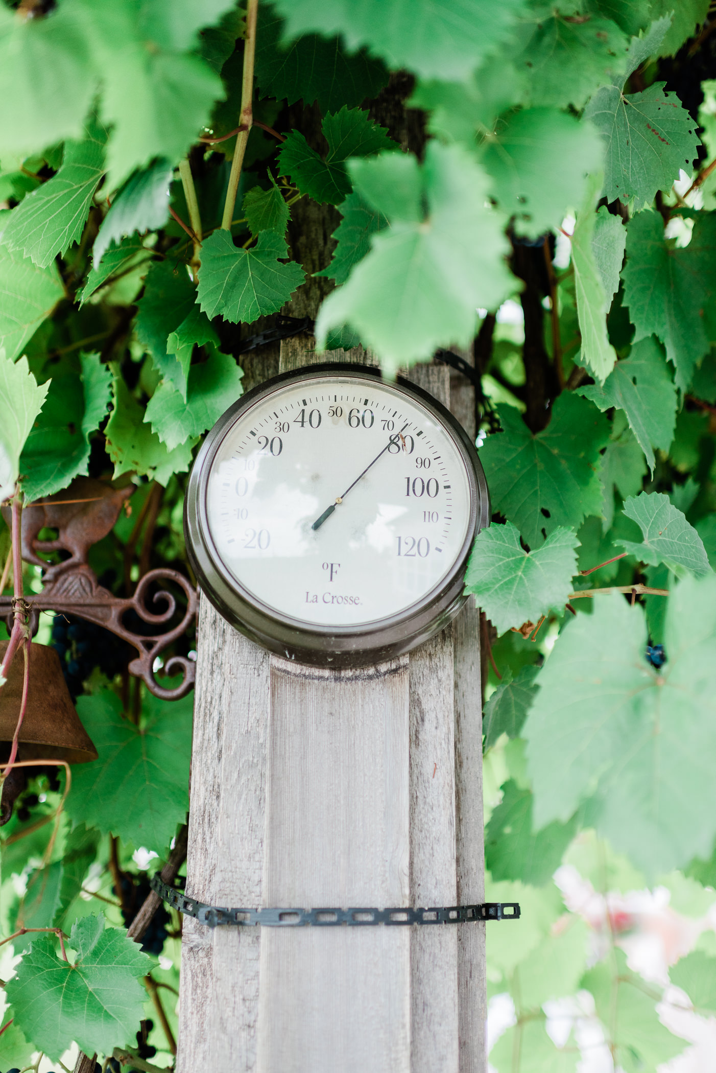 Olde 41 Green Bay, WI Wedding Photographers - Larissa Marie Photography