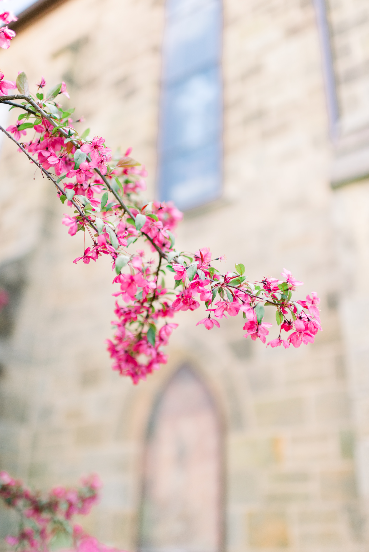 Hotel Julien Dubuque Wedding Photographers