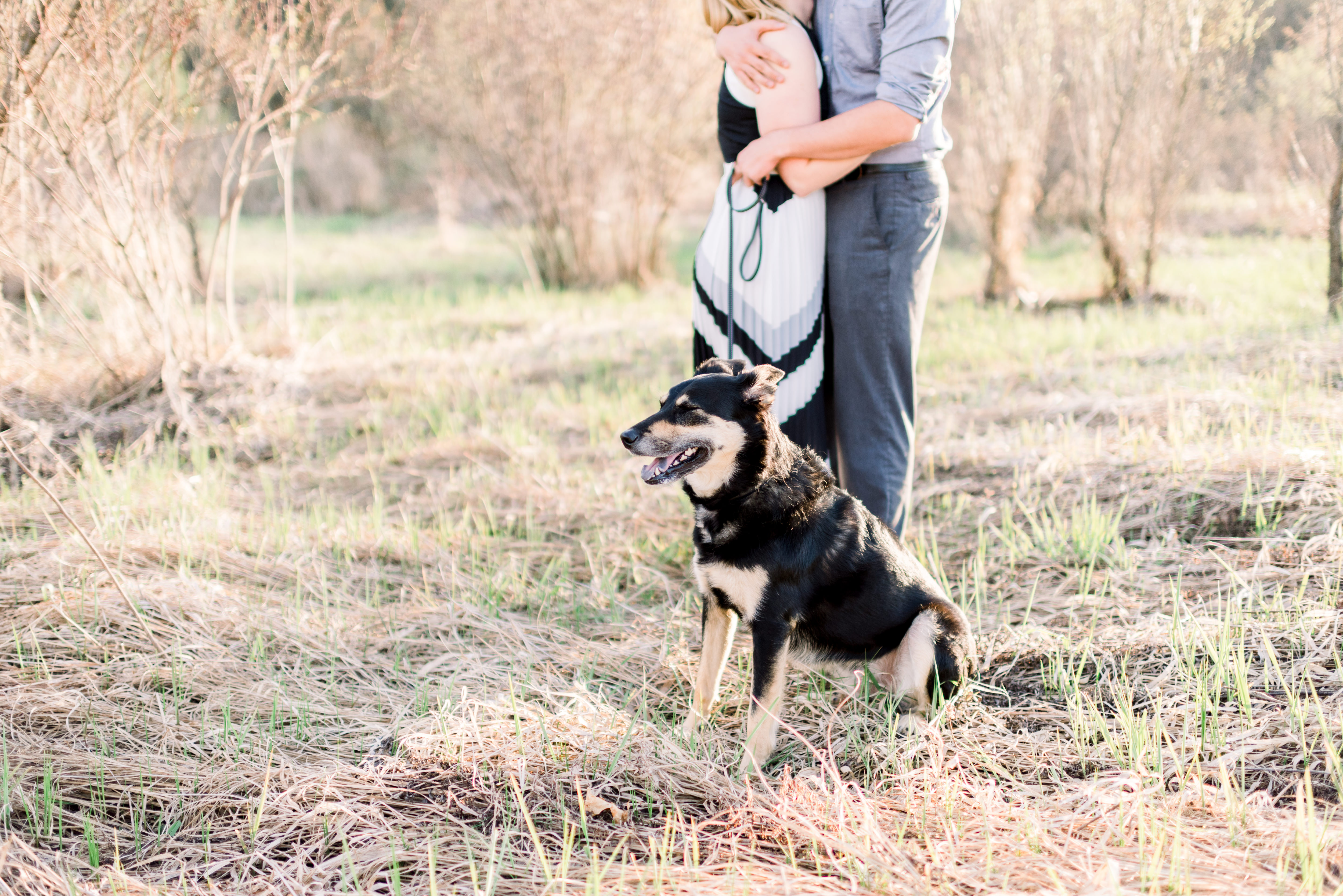 Mount Horeb, WI Engagement Session