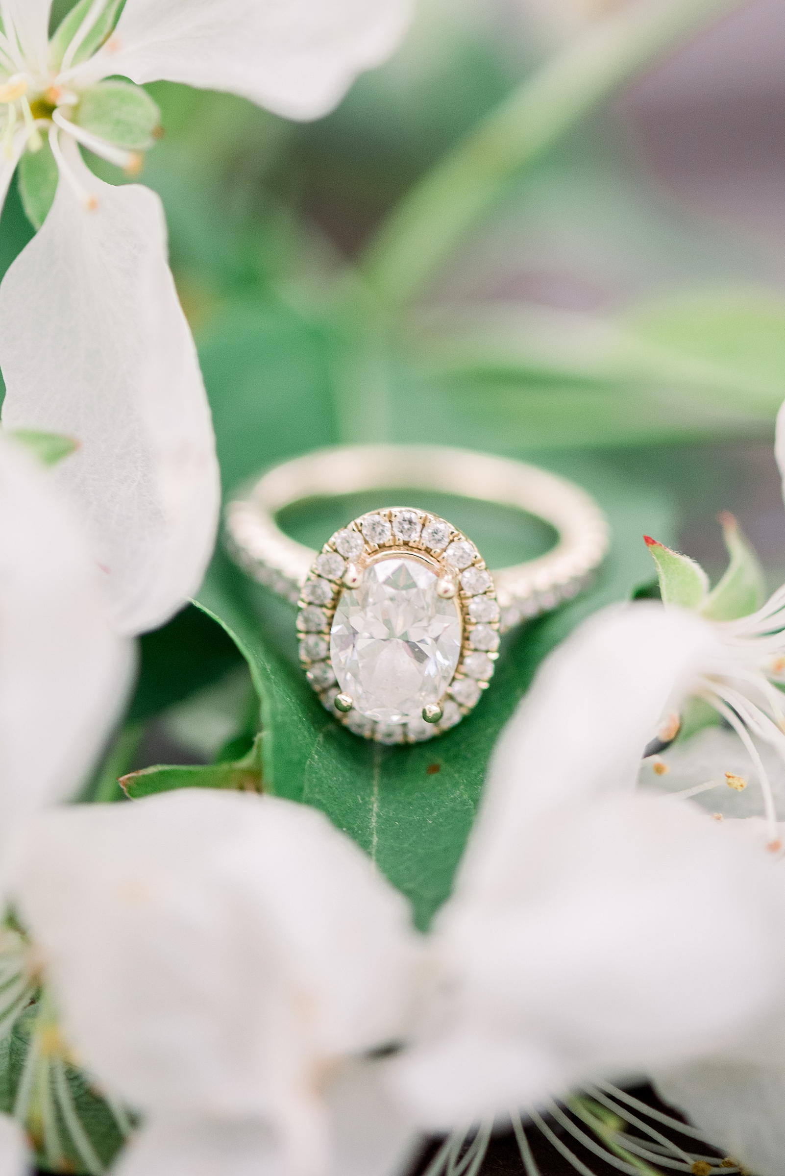 UW-Madison Engagement Session - Larissa Marie Photography