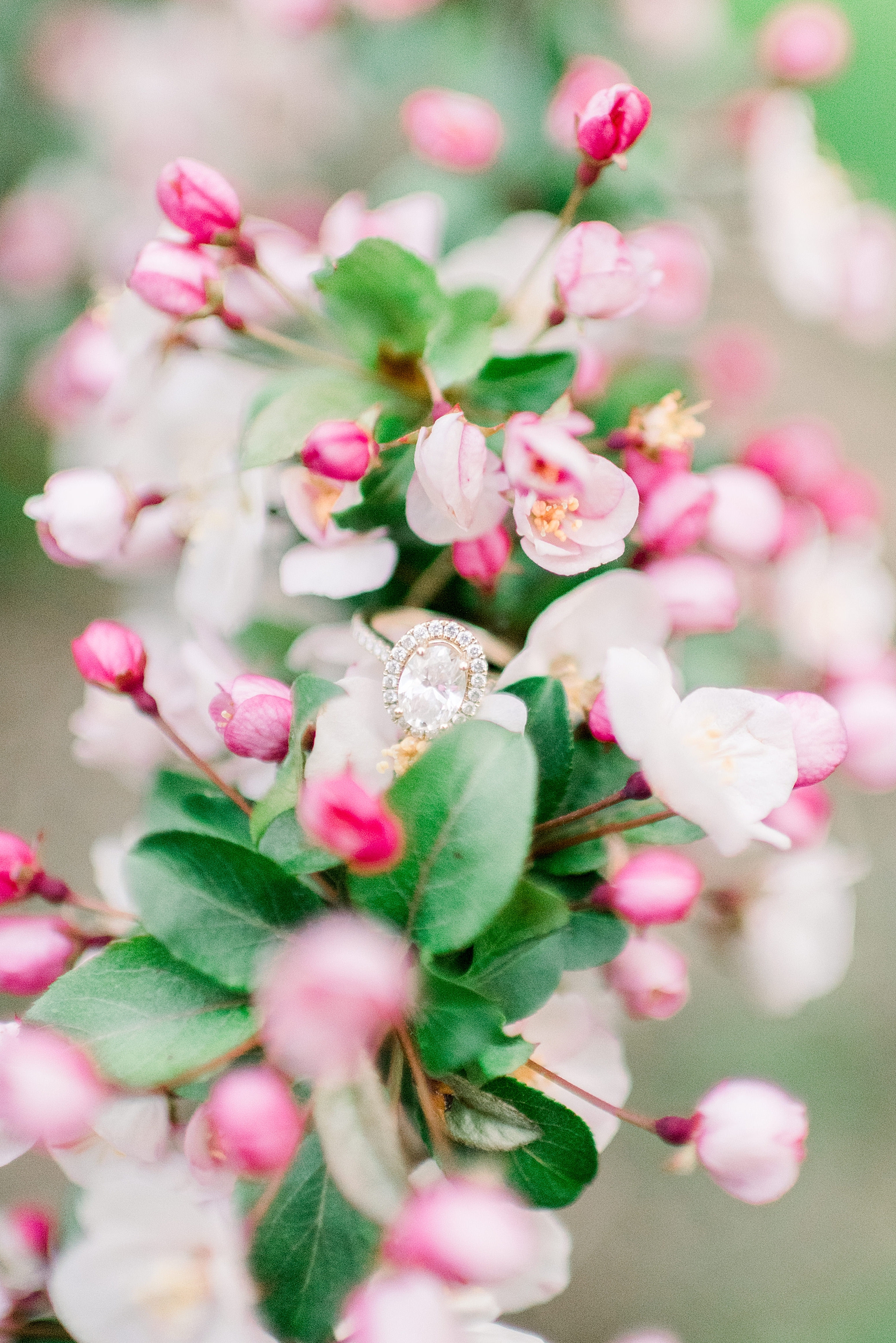 UW-Madison Engagement Session - Larissa Marie Photography