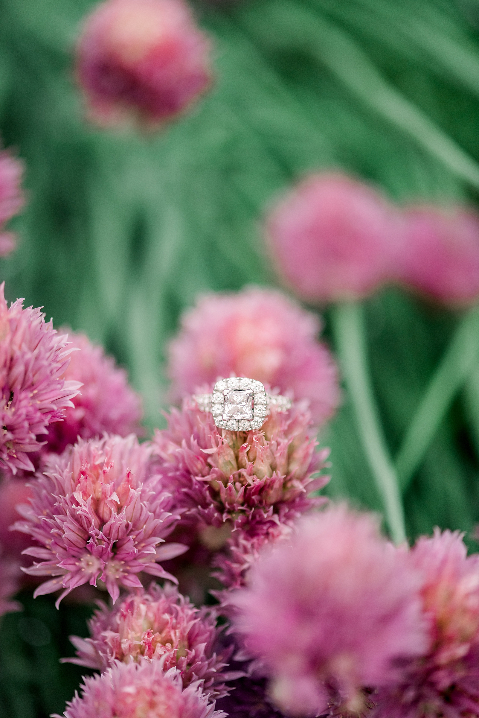 Paine Art Center and Gardens Engagement Session