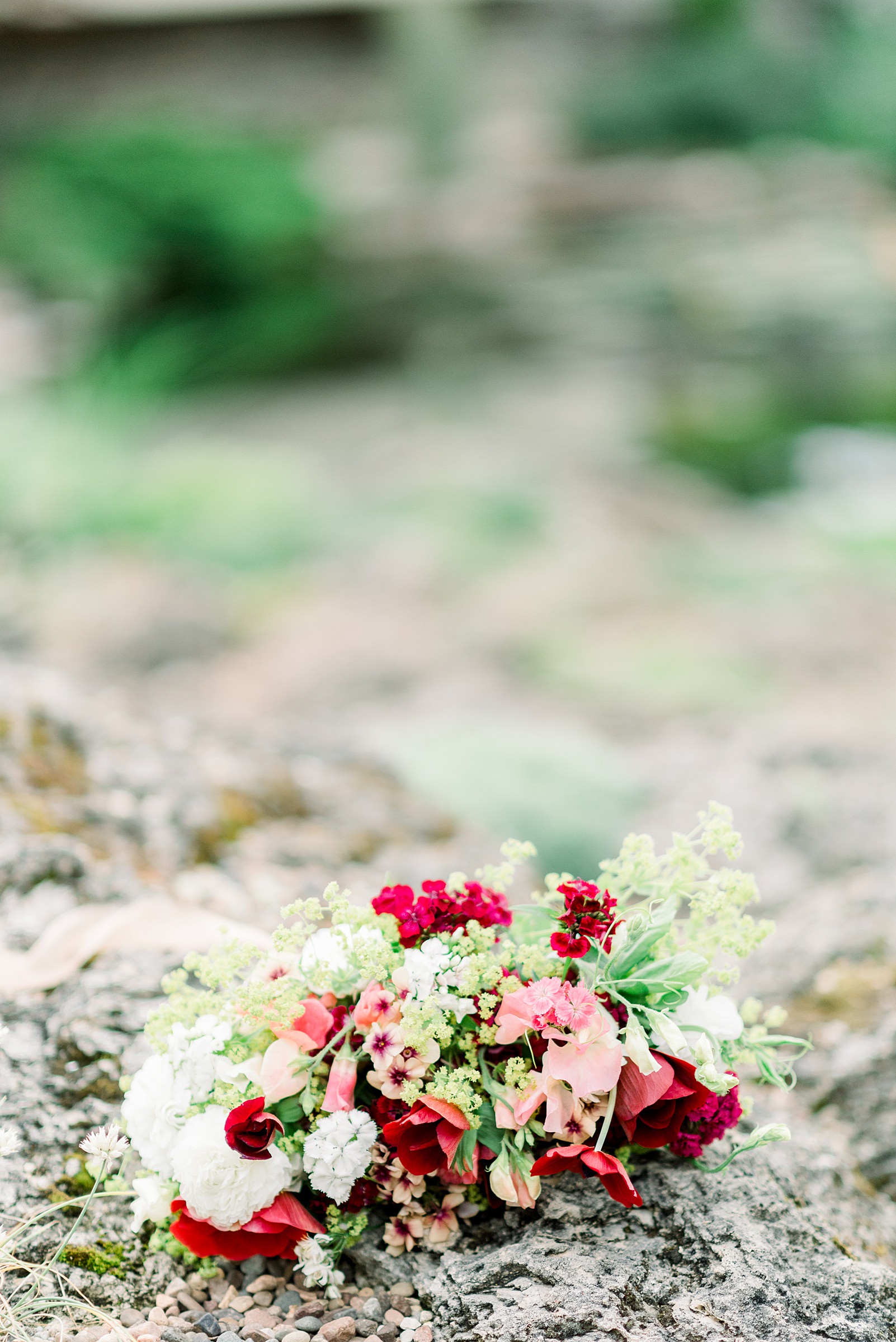 Allen Centennial Gardens Engagement Session