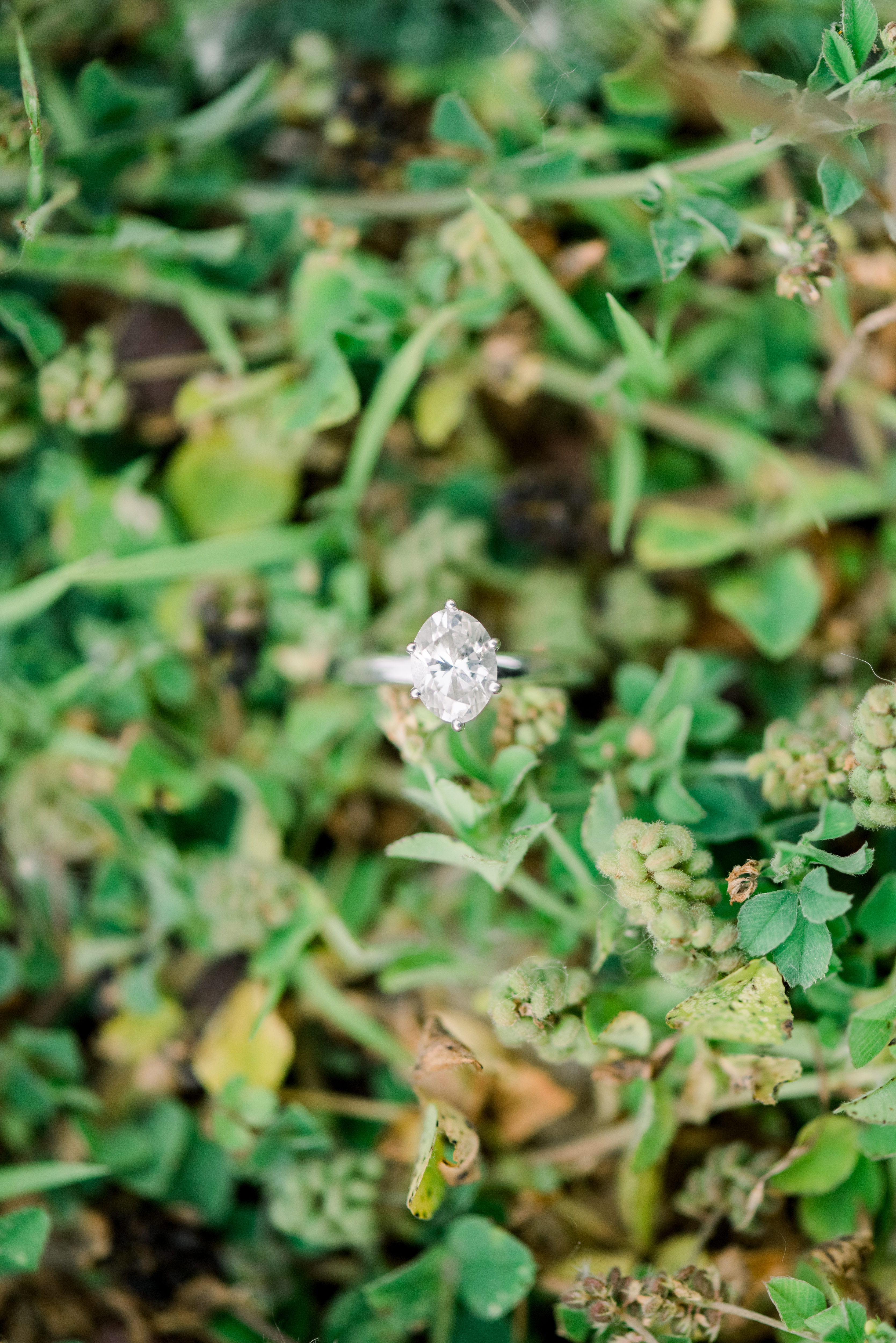 Devil's Lake State Park Engagement Session