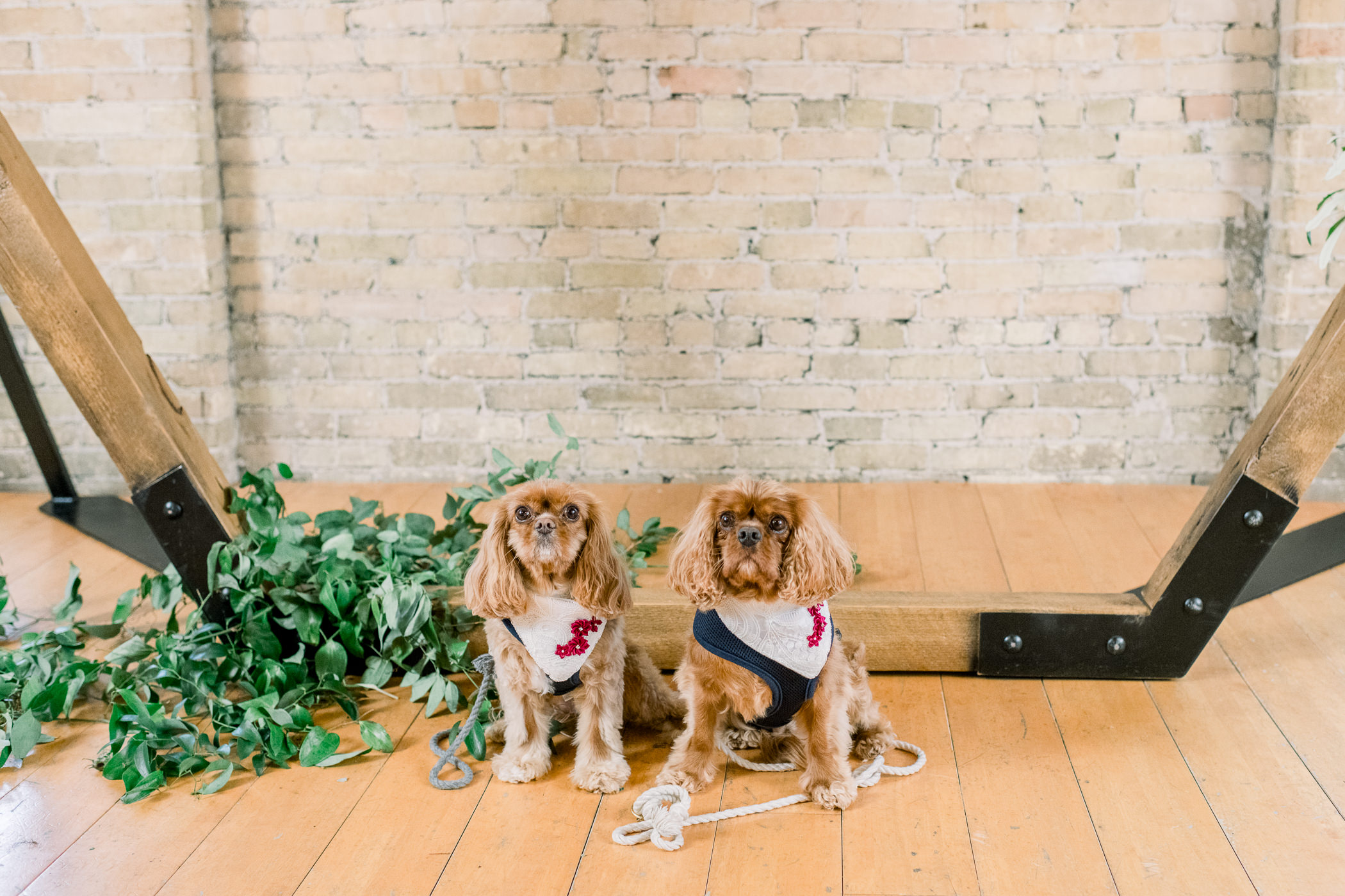 The Lageret Wedding Photographers