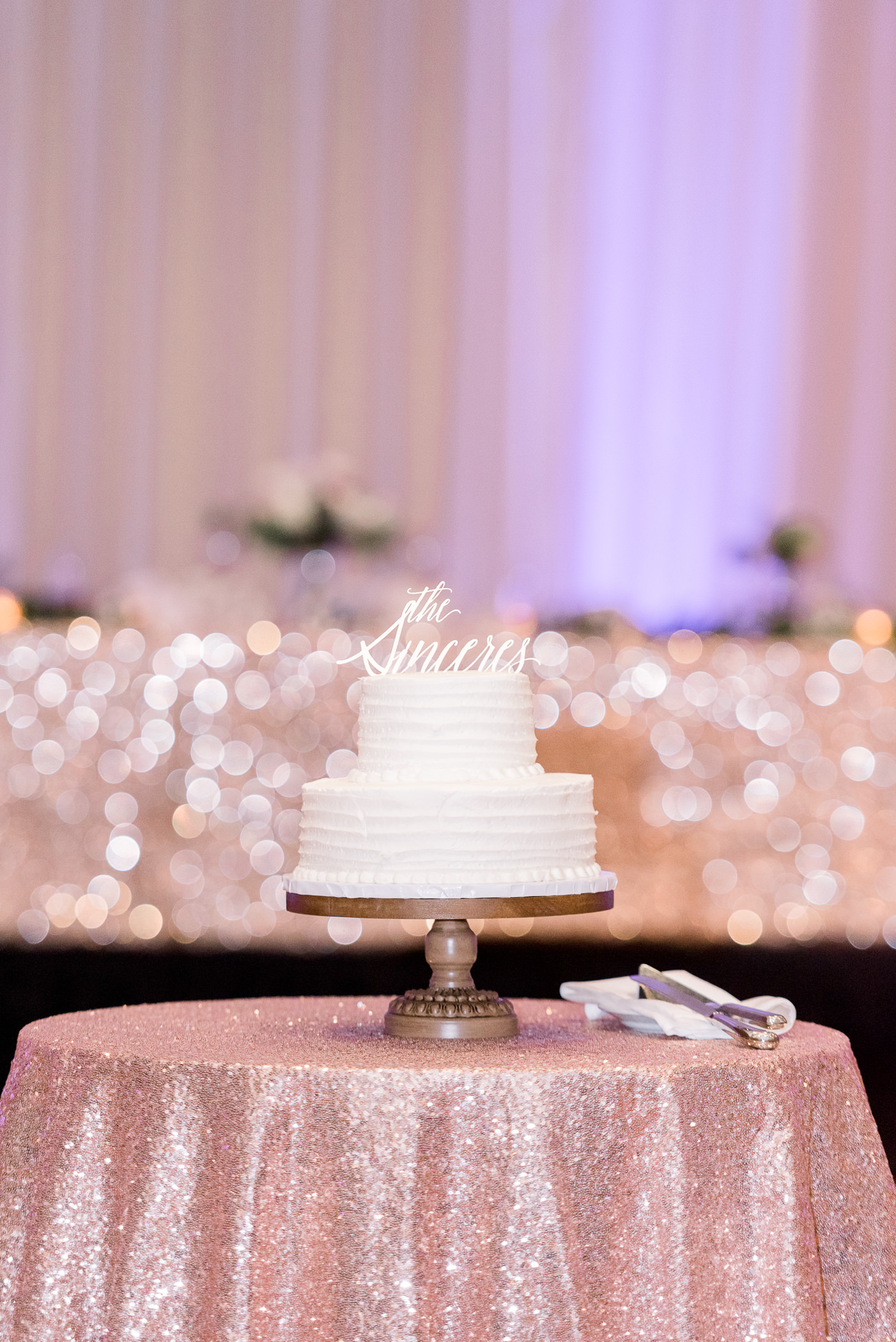 The Hyatt Regency Green Bay, WI Wedding Photographers