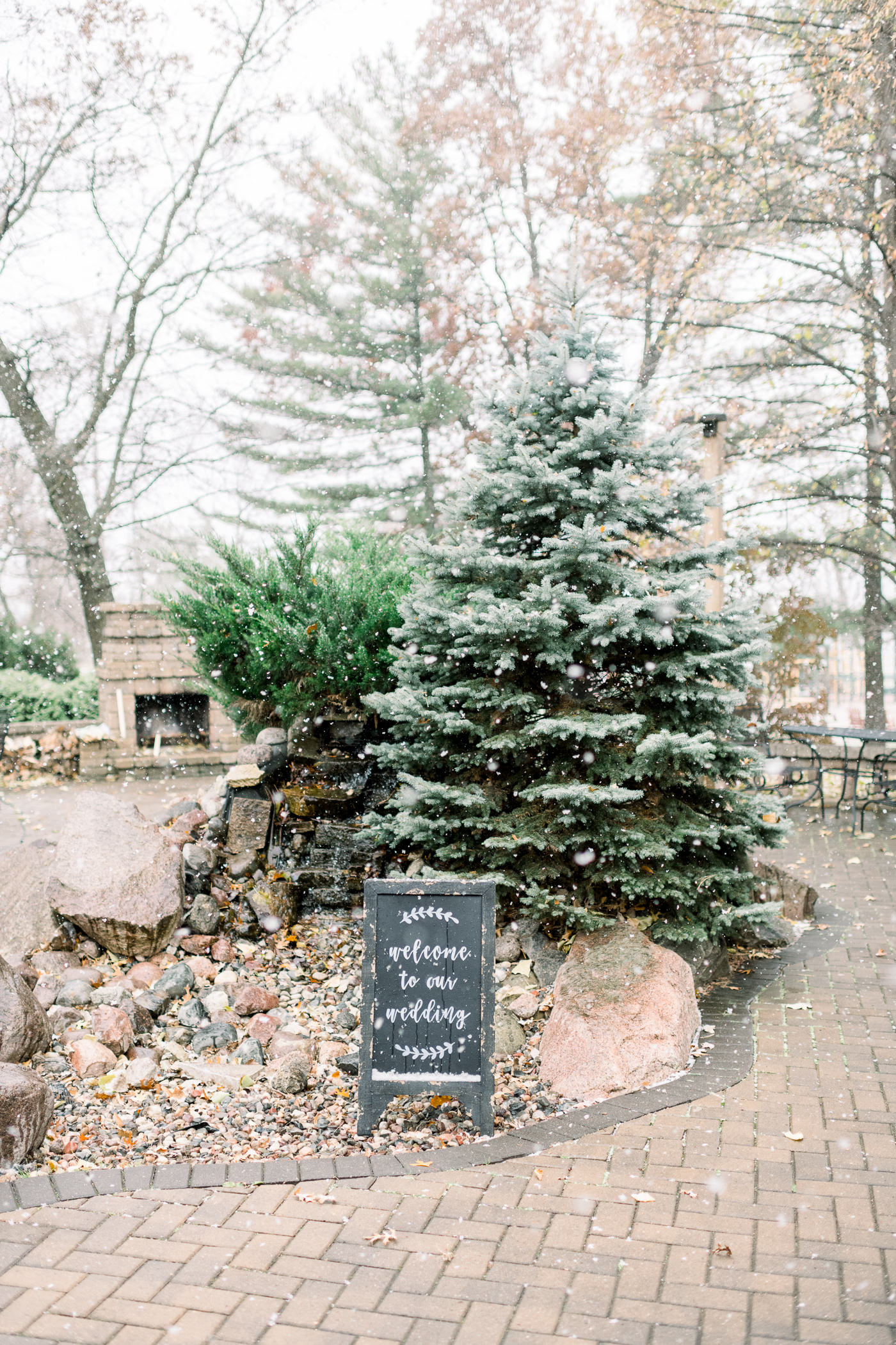 Shawano Lake County Park Wedding Photographers