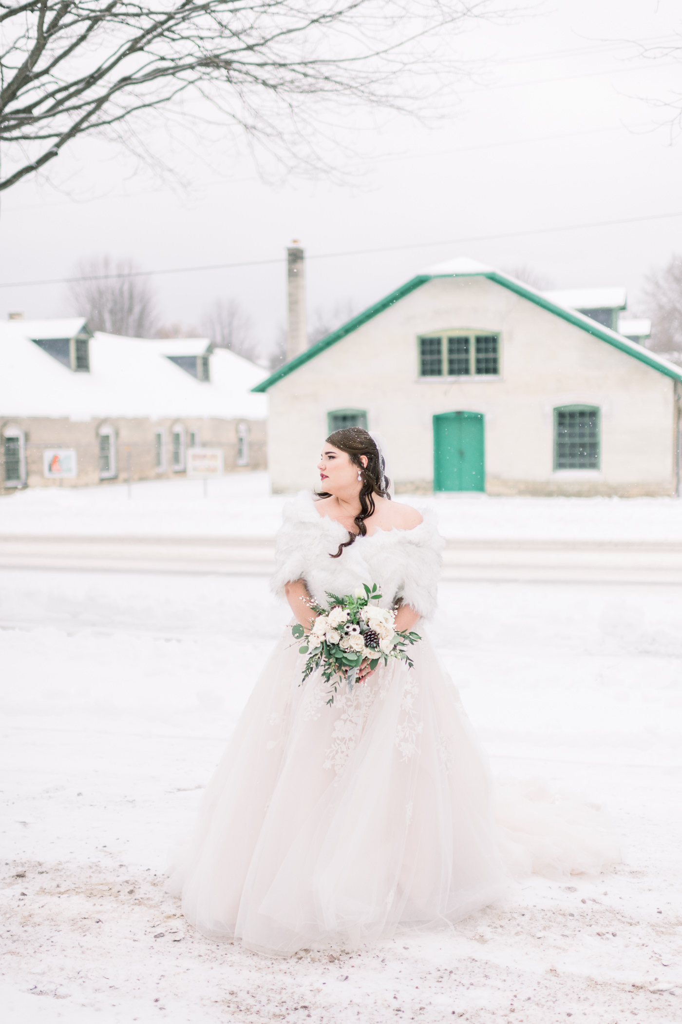 Baraboo Arts Center Wedding Photographers