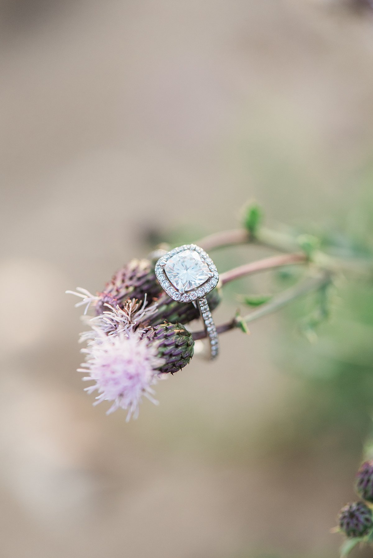 Chicago, IL Engagement Photographer