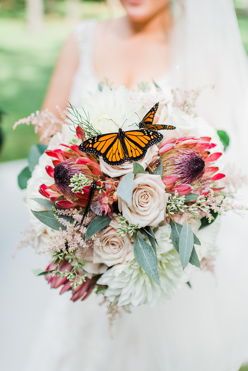 Madison, WI Wedding Photographers - Larissa Marie Photography