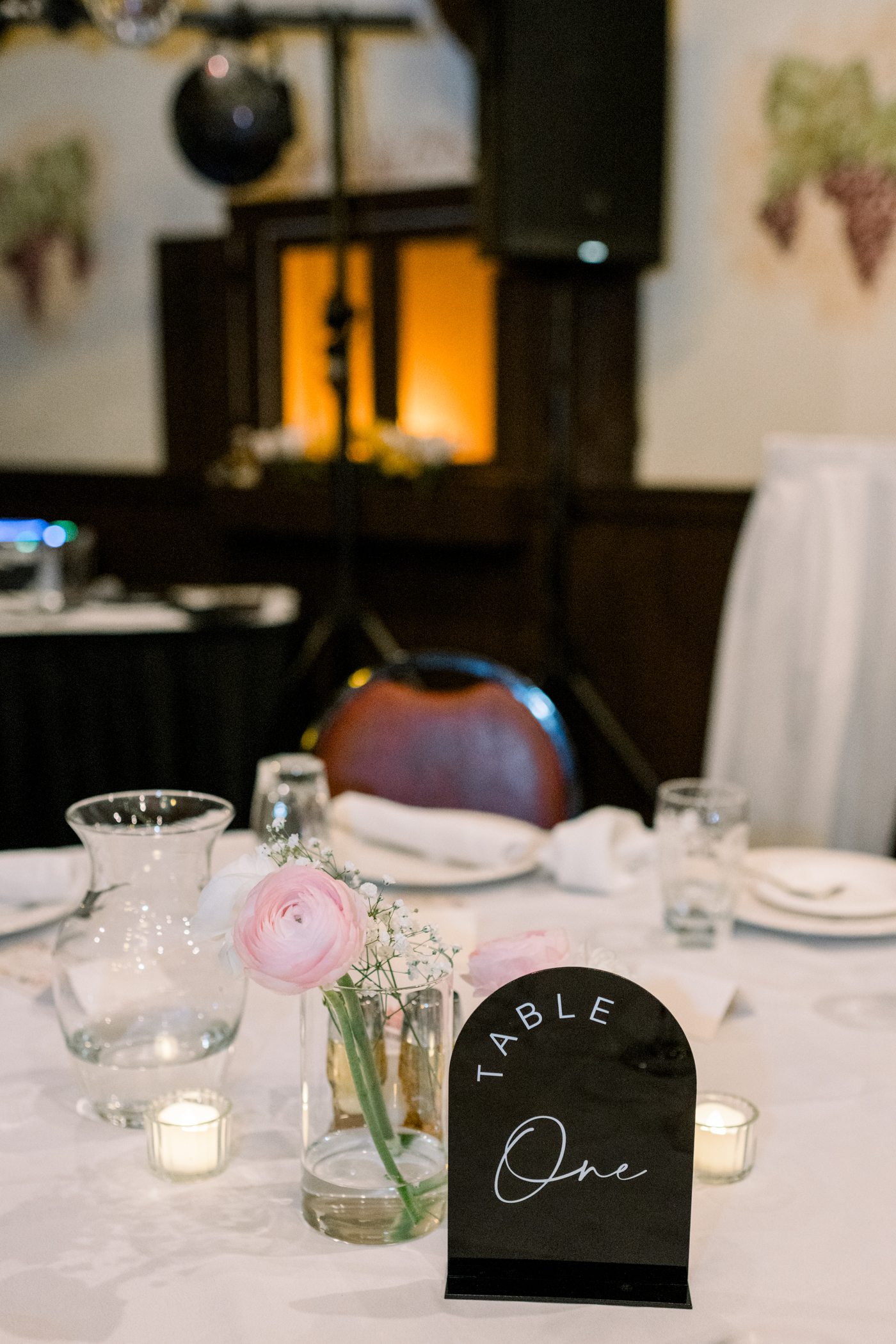Sauk City, WI Wedding Photographers Sauk City, WI Wedding Photographers