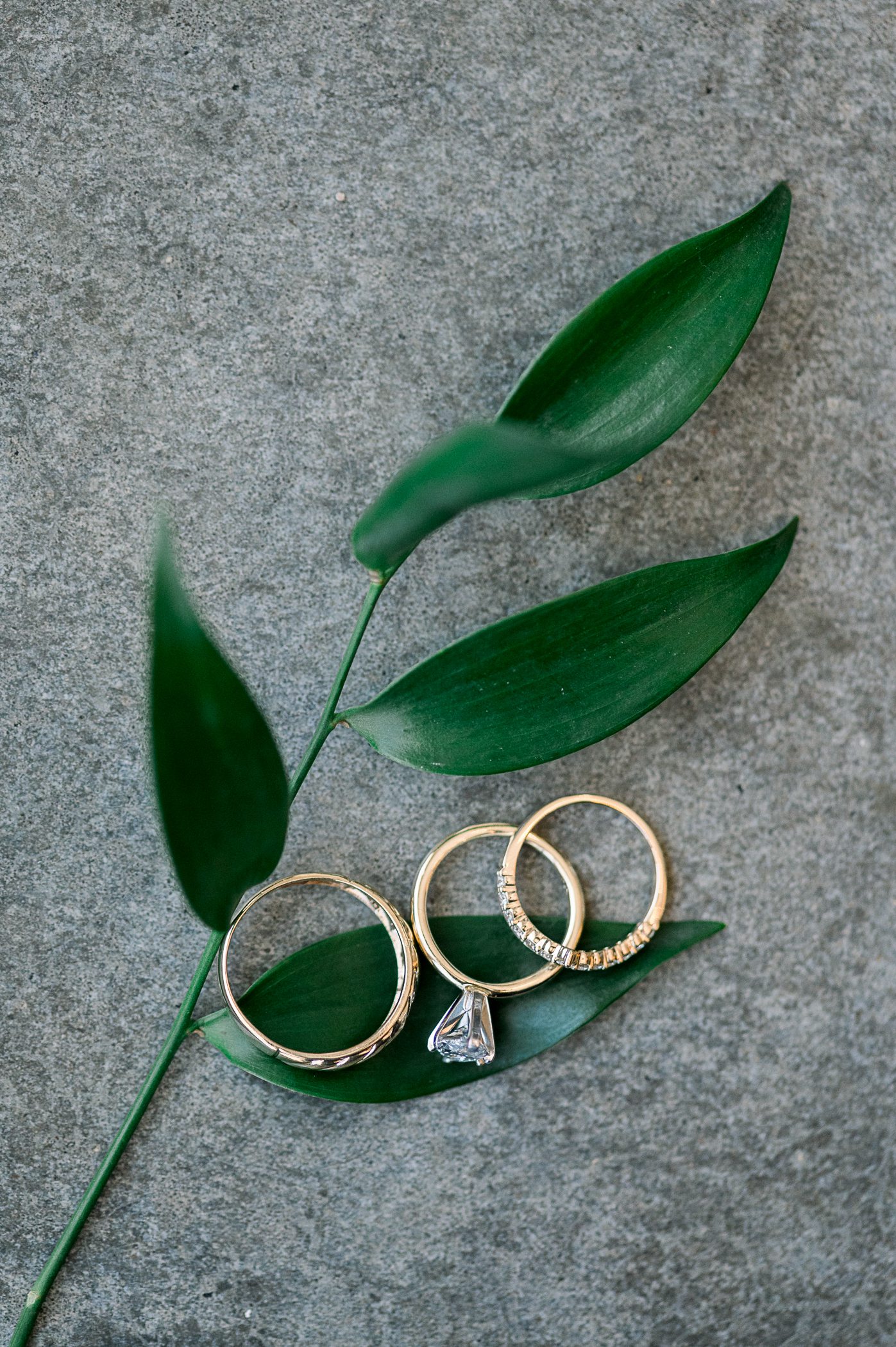 The Eloise Wedding Photographers